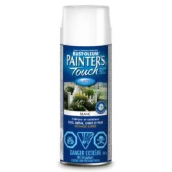 Spray Paint Ptouch Wht Gloss