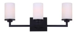 Canarm Terrace 3-Bulb Light Fixture- Matte Black