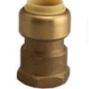 PLUMBeeze Push Fit Adapter - 3/4" Pf X 3/4" Fpt - No Lead