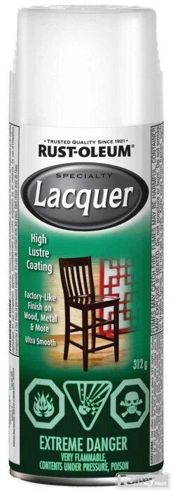 SPRAY PAINT LACQUER WHT GLOSS