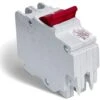 Schneider Electric 20 Amp Double Pole Stab-lok (NC) Plug-On Circuit Breaker
