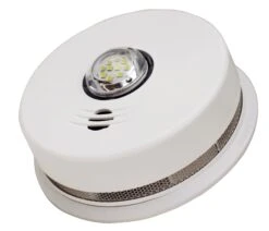 120V AC 2-in-1 LED Strobe And 10-Year Talking Smoke Alarm
