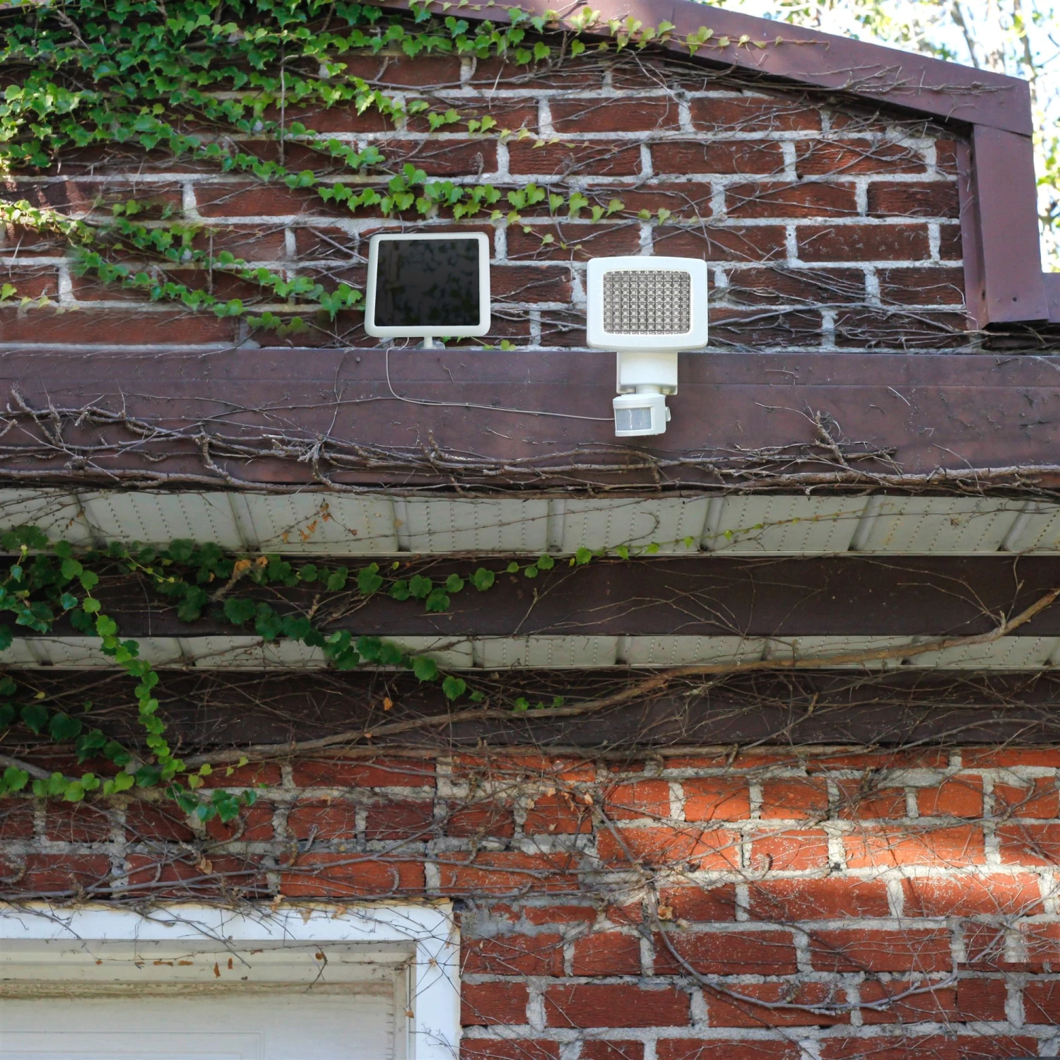 80 LED Motion Solar Light 4 80 LED Motion Solar Light - Image 2