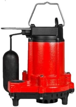 Red Lion Snap Action Sump Pump