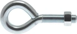 Hillman Eyebolt With Hex Nut 3/4-10X6