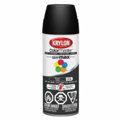 Color Master Spray Paint- Satin Black